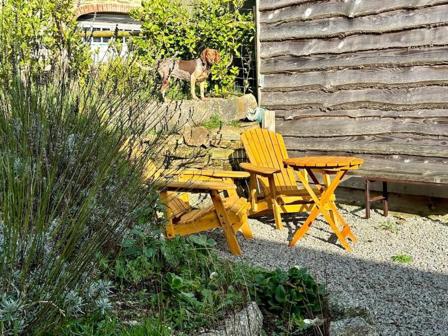 Little Bream - Pretty Cosy Cottage, Sea Views, Walk To The Beach Mawnan Smith エクステリア 写真
